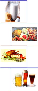 Indian Food Industry